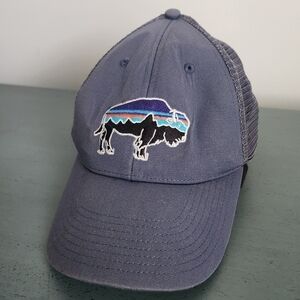 Patagonia Fitz Roy Trout Trucker Hat for Mens